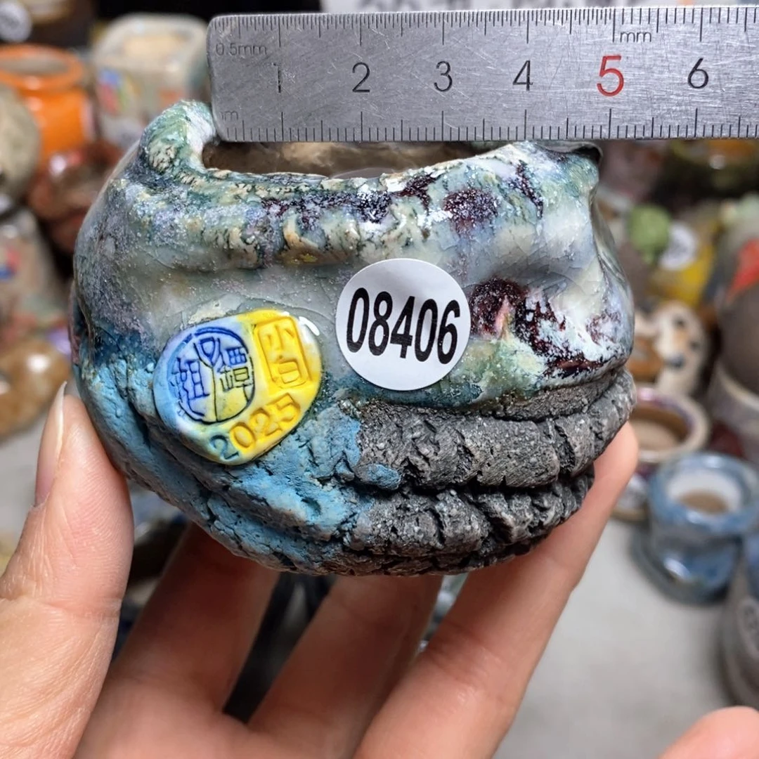 花盆拍3送一个小礼物