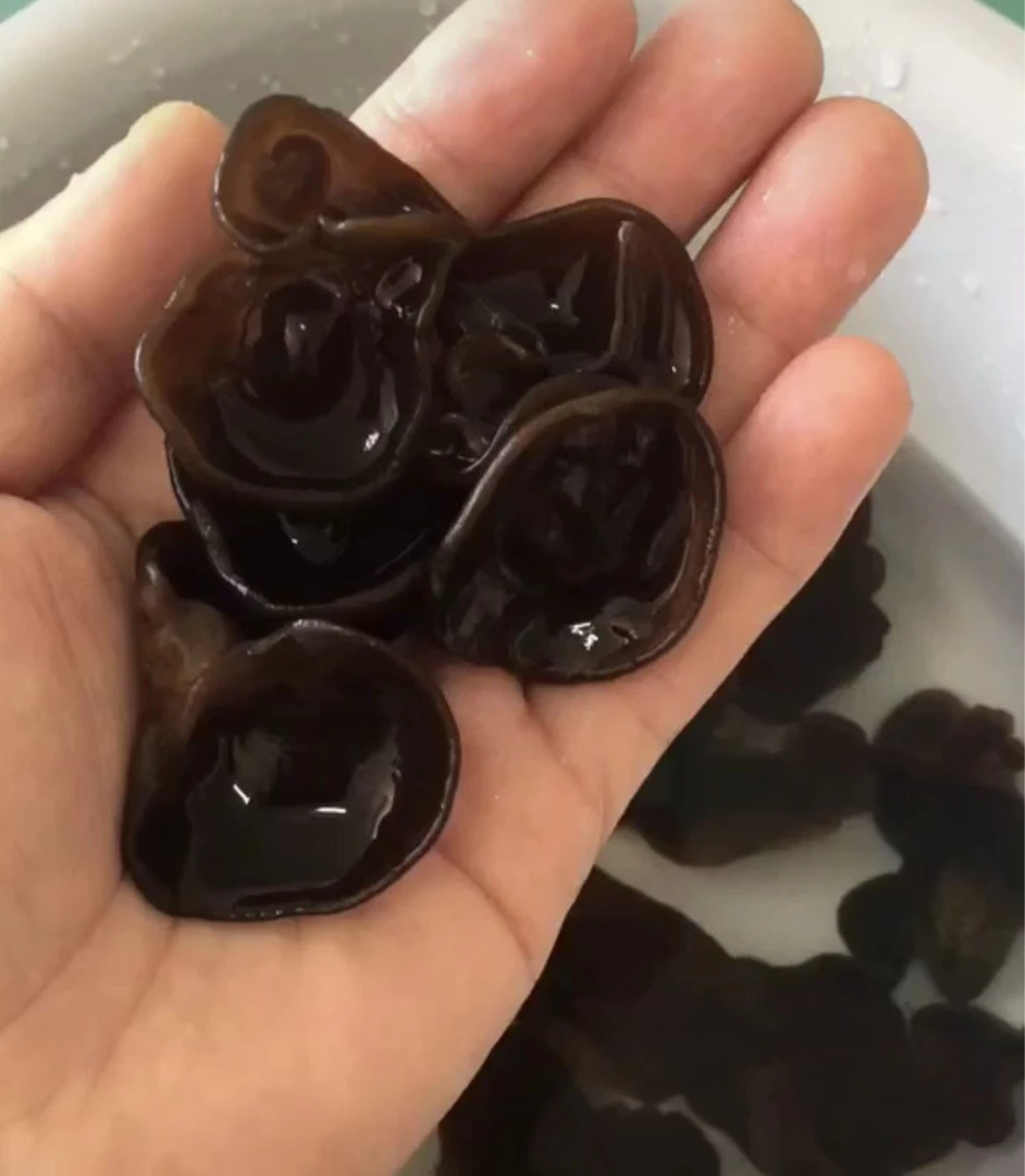 黑龙江黑木耳头茬黑木耳新货东北黑木耳无根肉厚软糯黑木耳干货