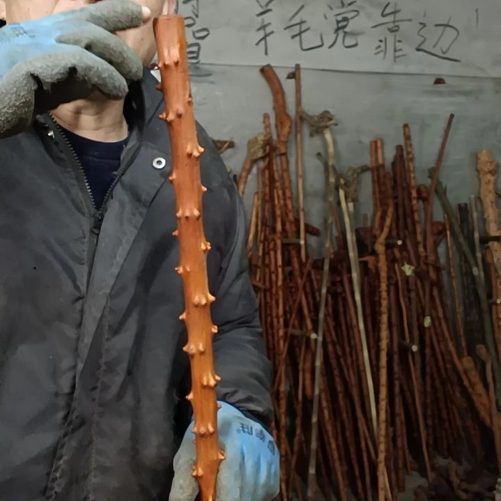 稳定木哈*贵州檬子木   铁马鞭   根艺  半成品