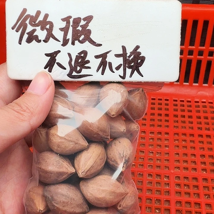 手串/手链橄榄核橄榄