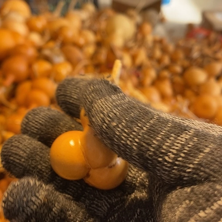 麦*不退不换运输途中不保龙头完美主义者勿拍