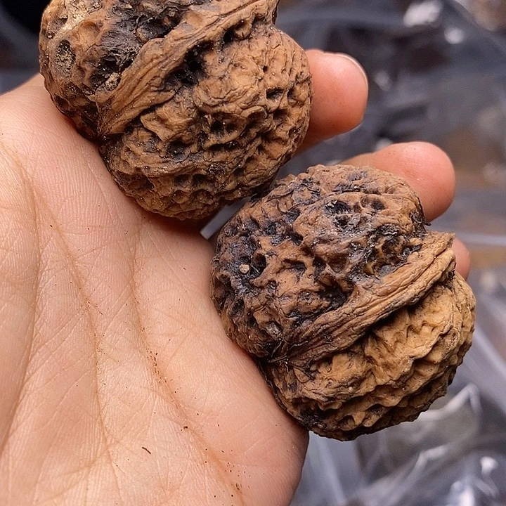 吊坠文玩核桃   231