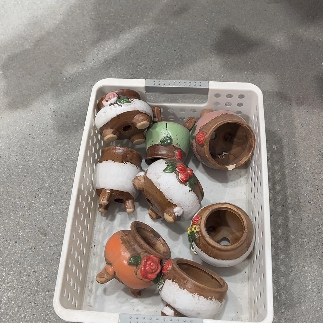 红陶随机8个正品