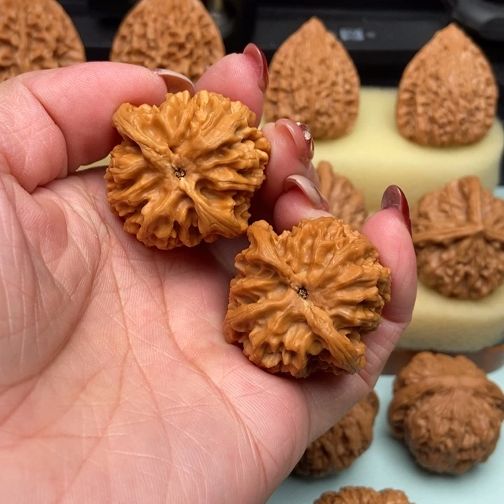 苹果37尺已打底……6