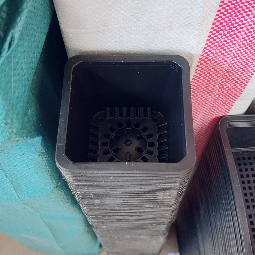 塑料福利款9方黑色盆50个无托