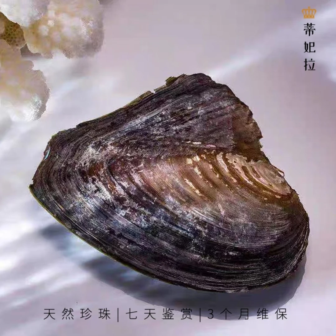 M 直播间特惠MB101海水大点位白色万能扣珍珠吊坠16-17mm不含链