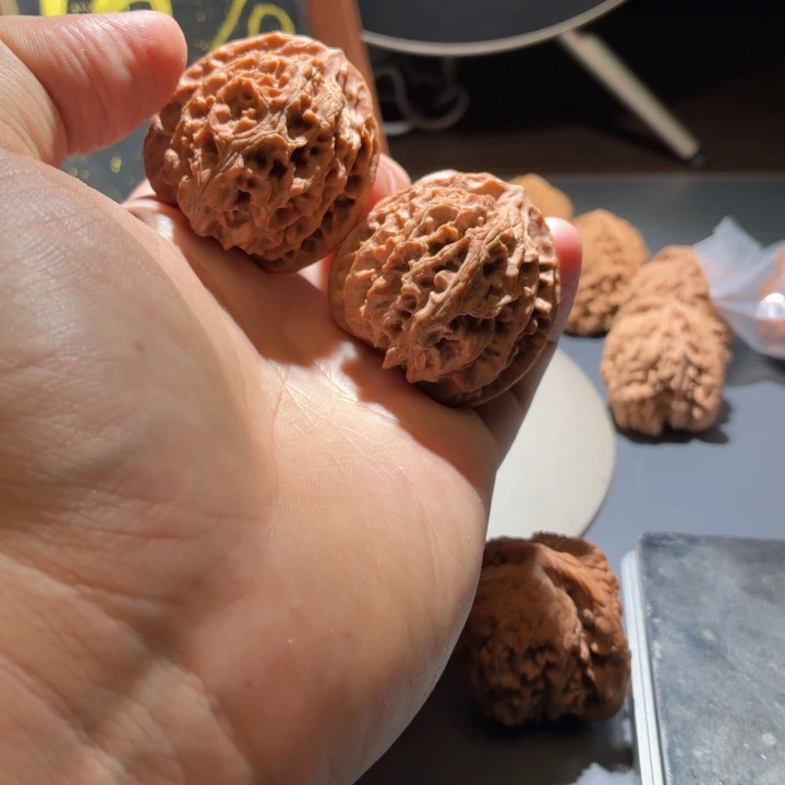 大叶紫檀（黑酸枝木类）