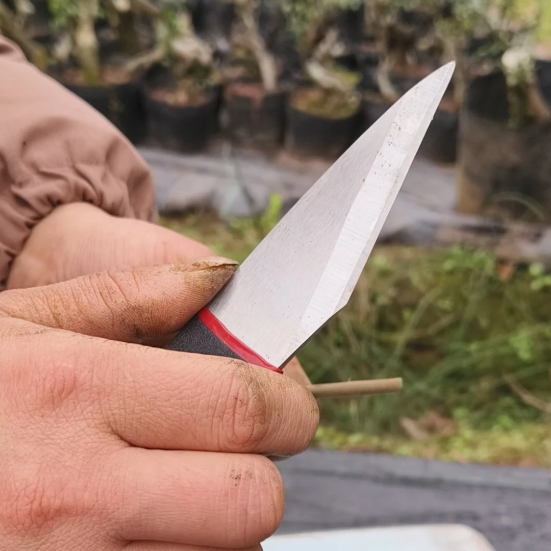 果树嫁接刀园艺工具苗木枝接芽接刀家用盆景实用工具