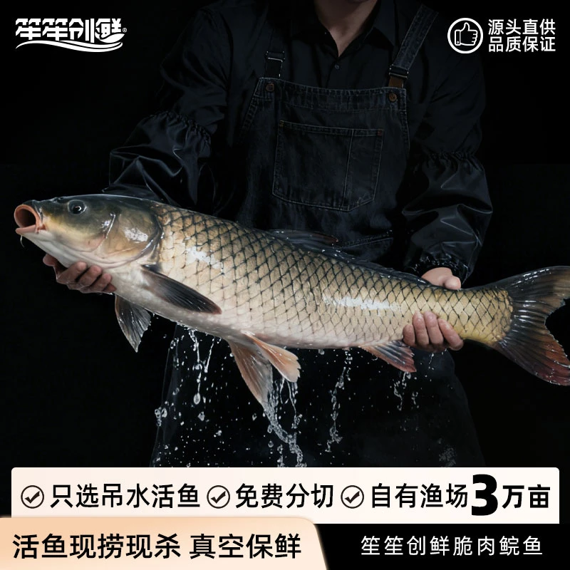 广东中山珍品脆肉鲩整鱼选择重量切法现买现称现杀真空包顺丰京东