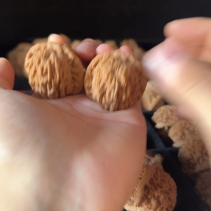 浅***兮吊坠龙脊菩提啊啊啊啊啊啊啊啊四座楼2