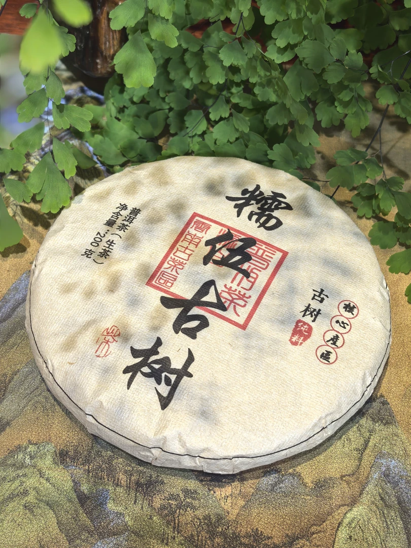 2025糯伍古树春茶200克饼