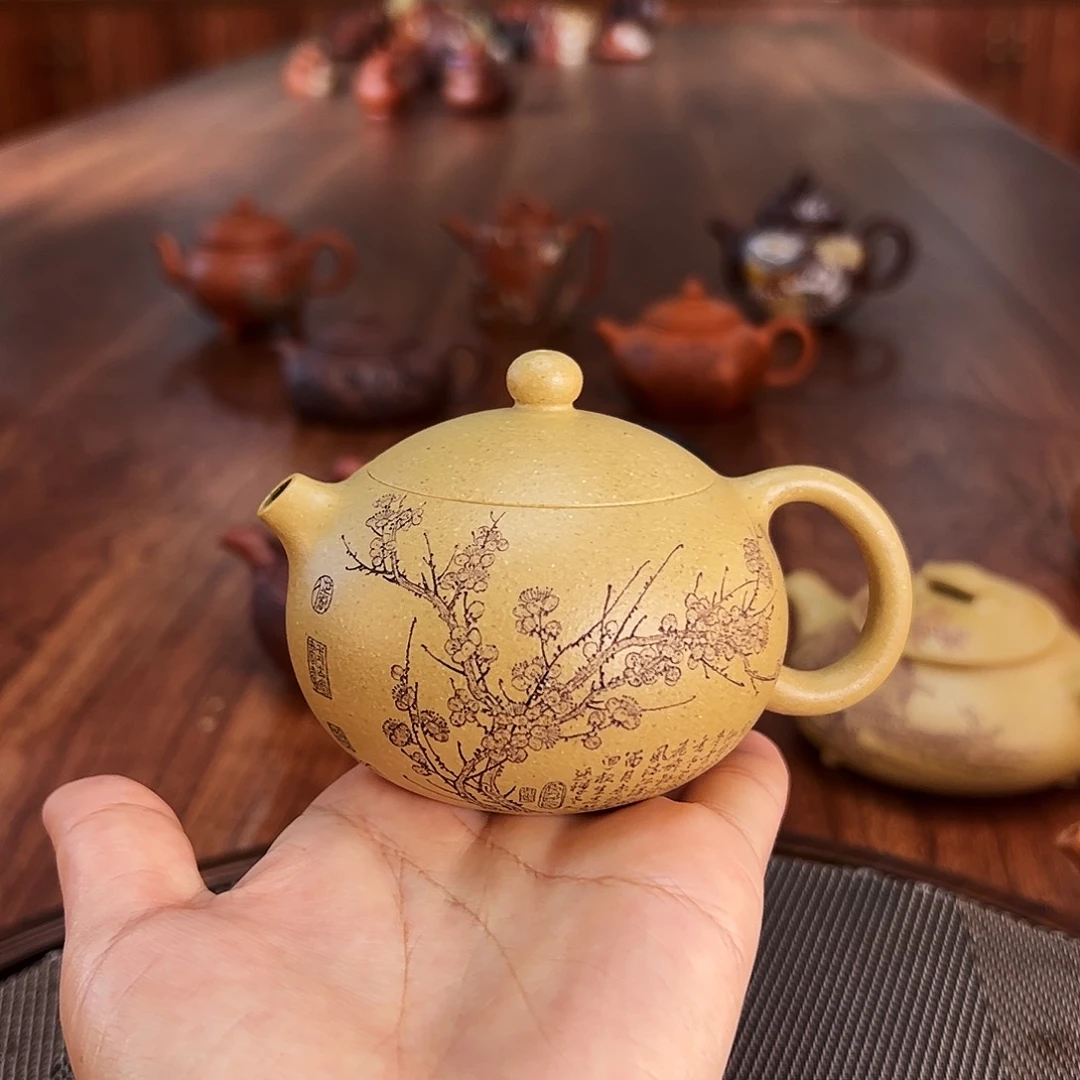 茶壶紫砂芳华绝代西施