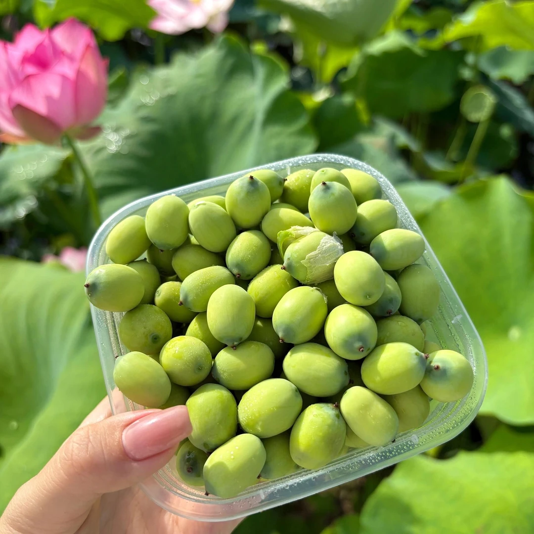 水果莲子（一盒约210g）