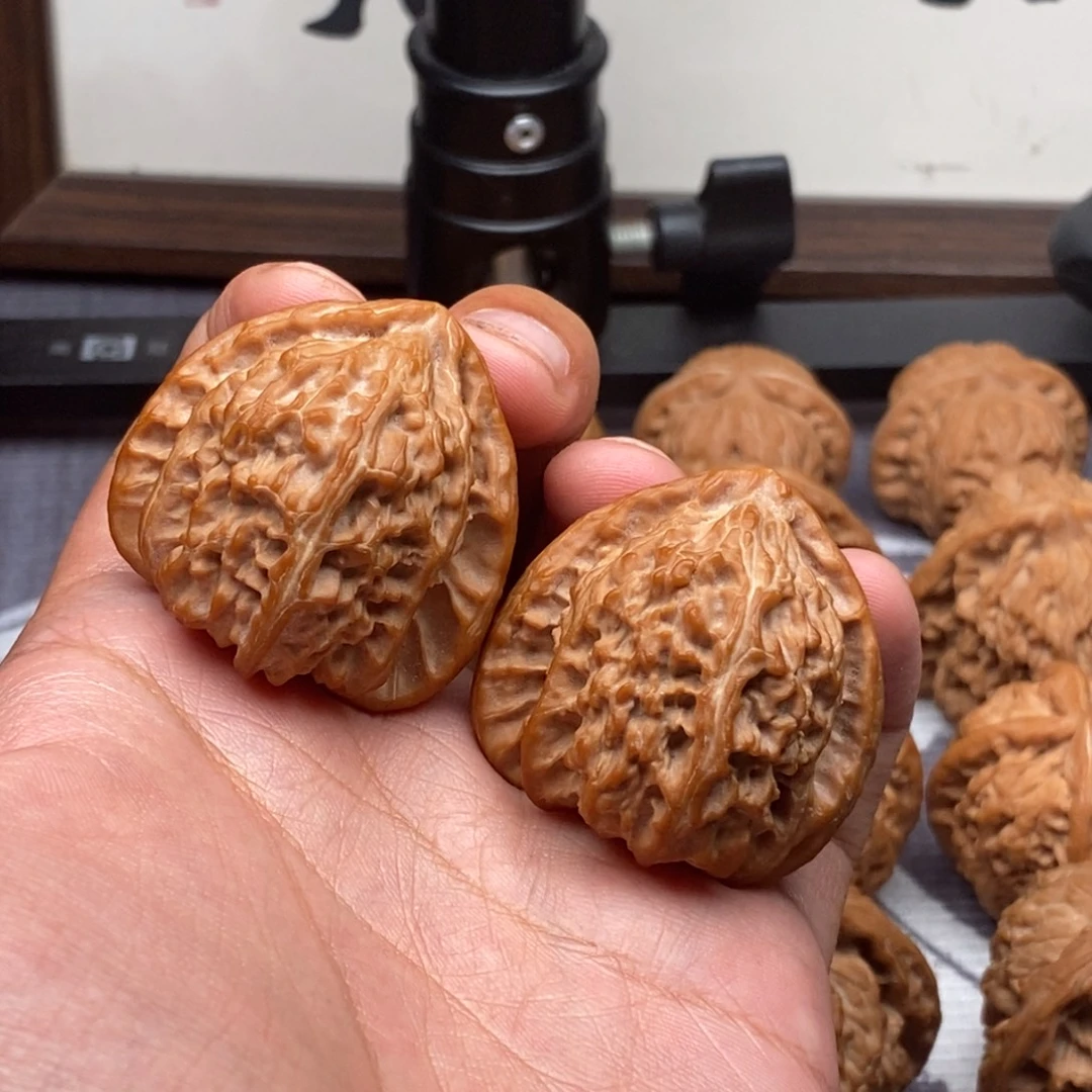 H****把件文玩核桃角白