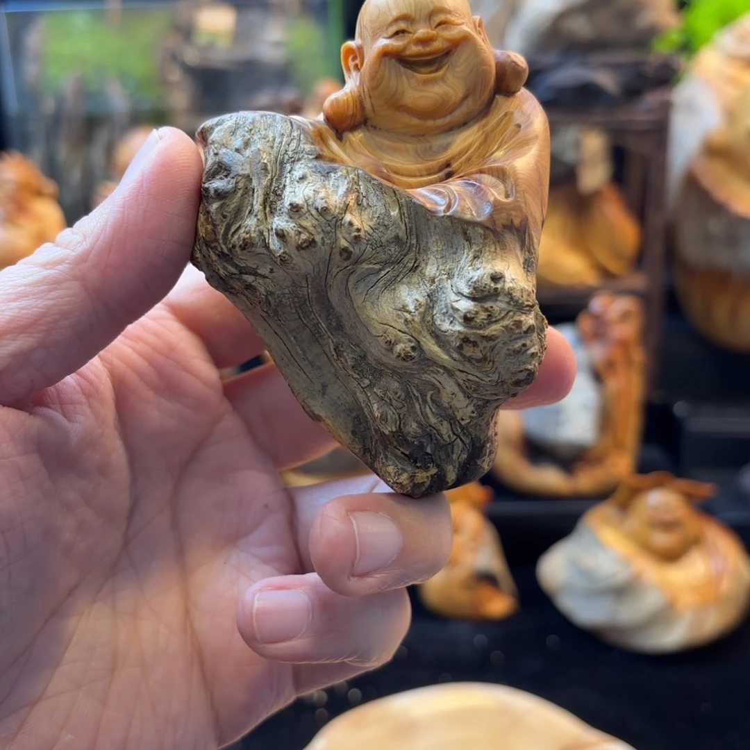 芷***嫣柏木11111111111111