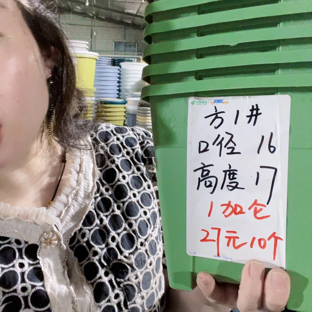 方盆1号无拖浅绿10个