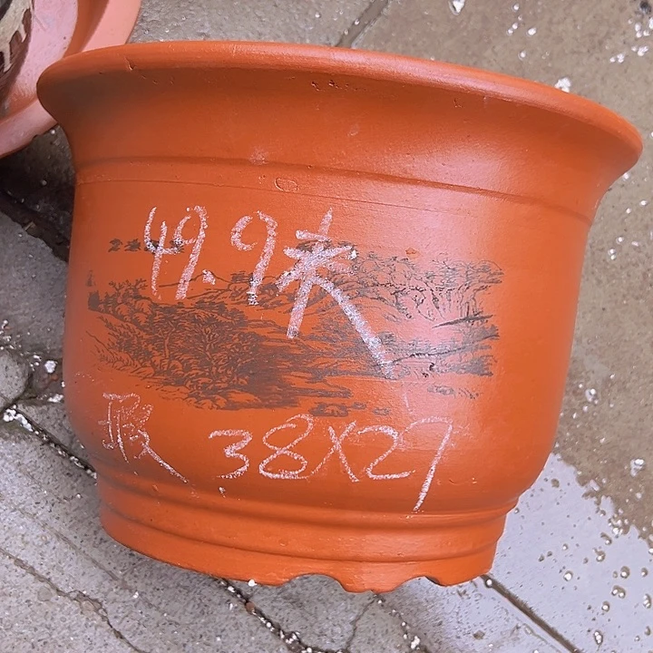 紫砂紫砂紫砂紫砂紫砂