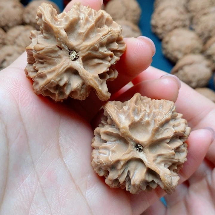 文玩核桃把件青**途苹果园44