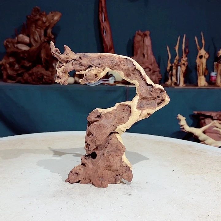 黑果木Z****哥325金丝红木羊蹄甲半成品