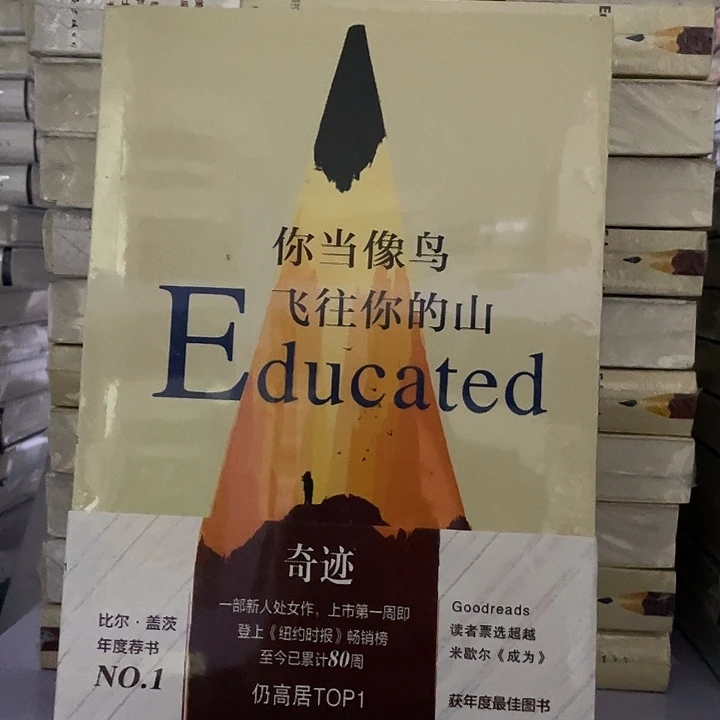 你当像鸟   平装带塑封