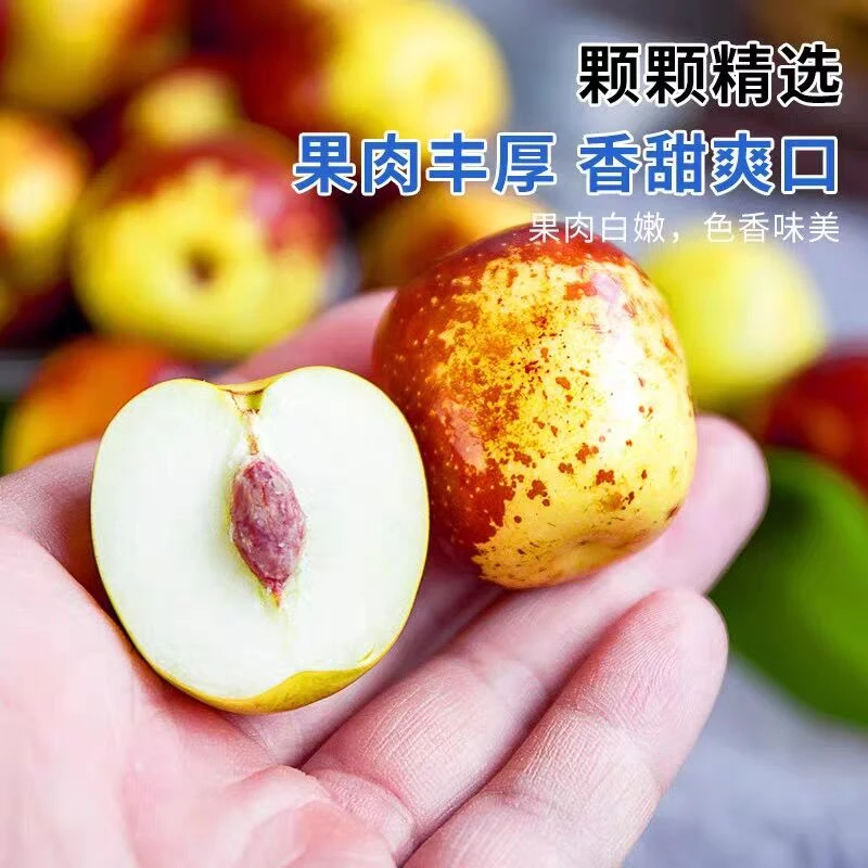 9.28【多仓发货/顺丰次日达】陕西大荔冬枣净重4斤装脆甜多汁丰富新鲜应季水果送货上门陕西省
