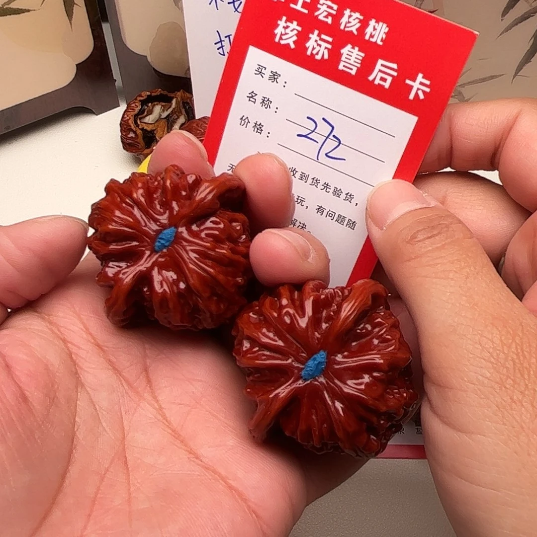 272。 41尺。 白狮子