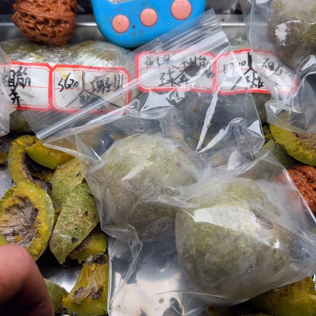 捣***鼓更哈哈姐姐家你你年纪美美美