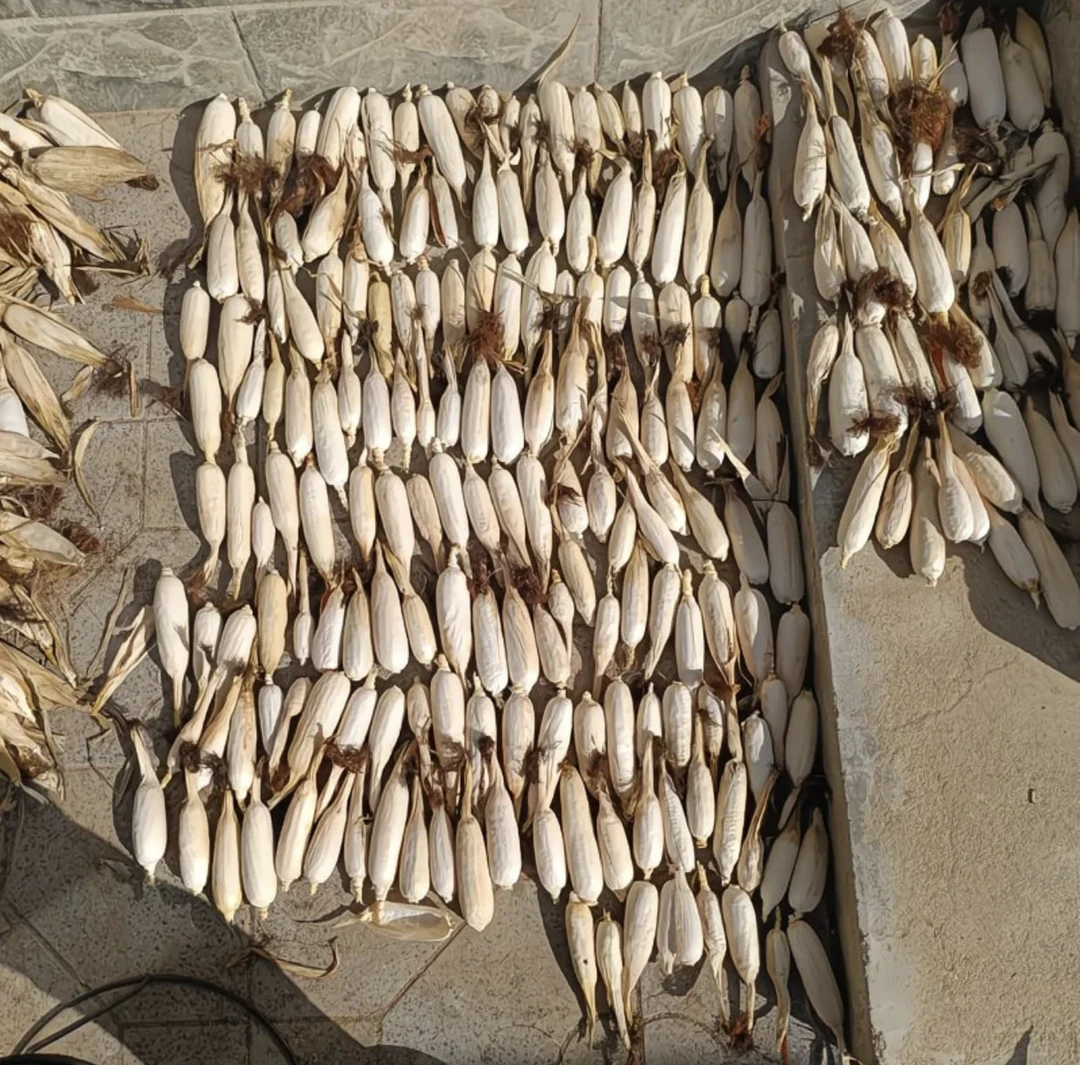 小杜玉米文玩一物一拍