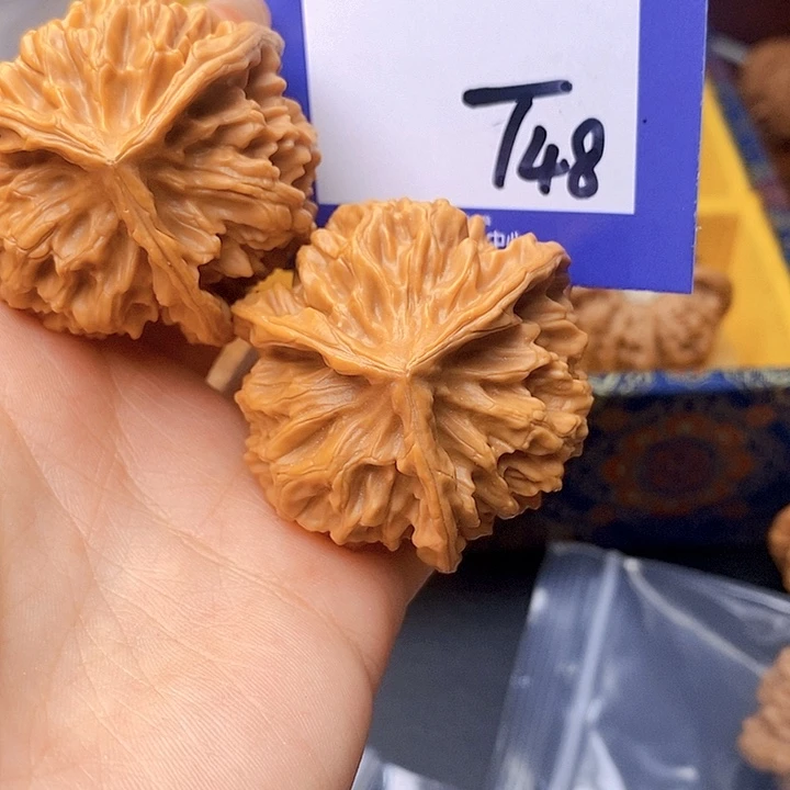 晟***松把件文玩核桃文玩核桃奔48