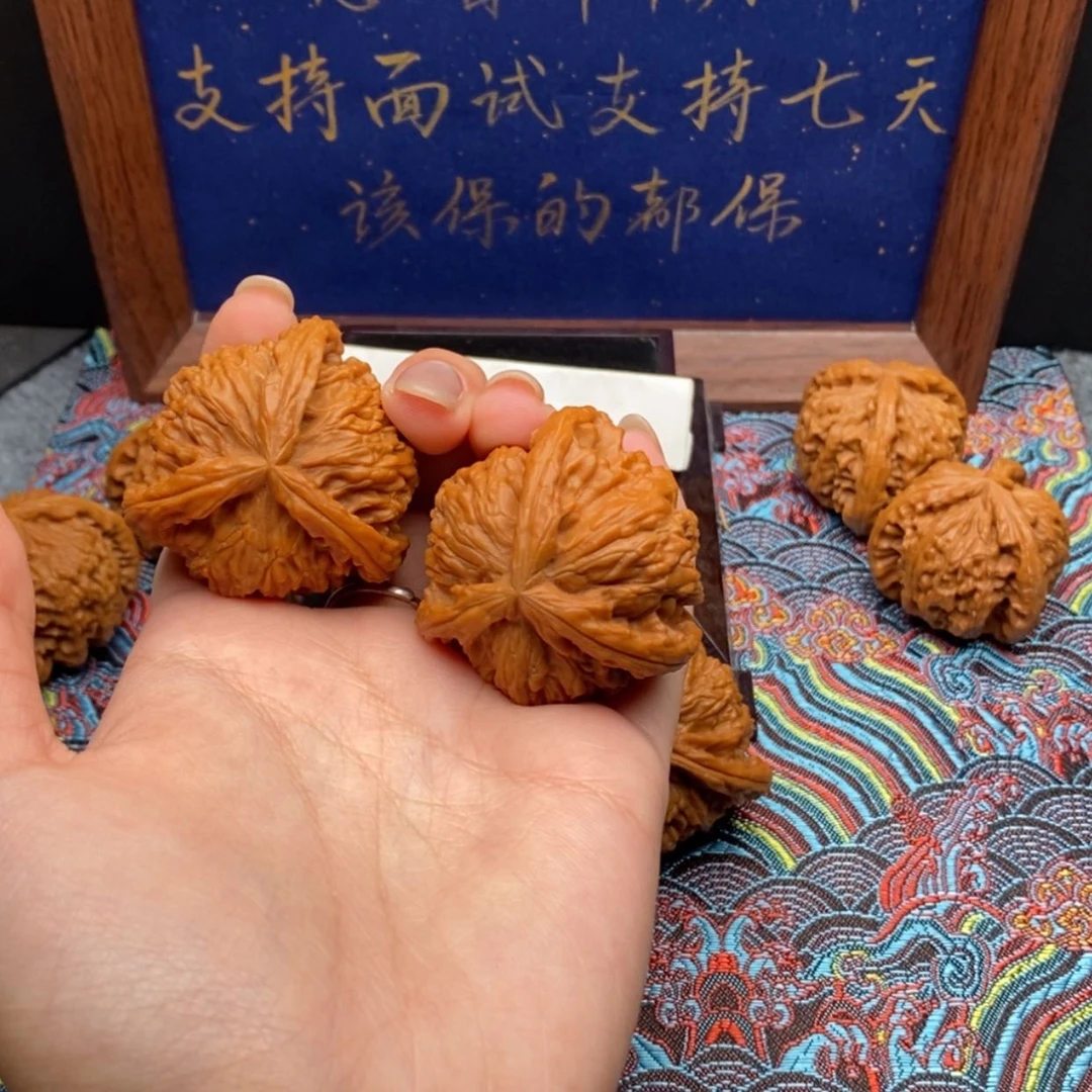 【闪购商品】东***出白狮