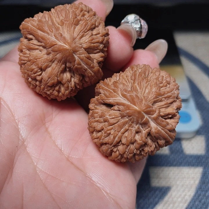 文玩核桃把件做****己大蒜头36