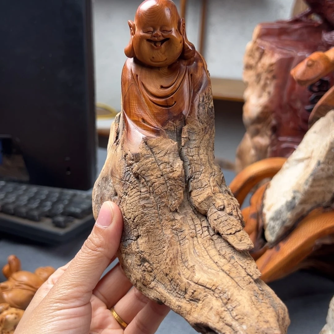 柏木（崖柏）崖柏太行山脉