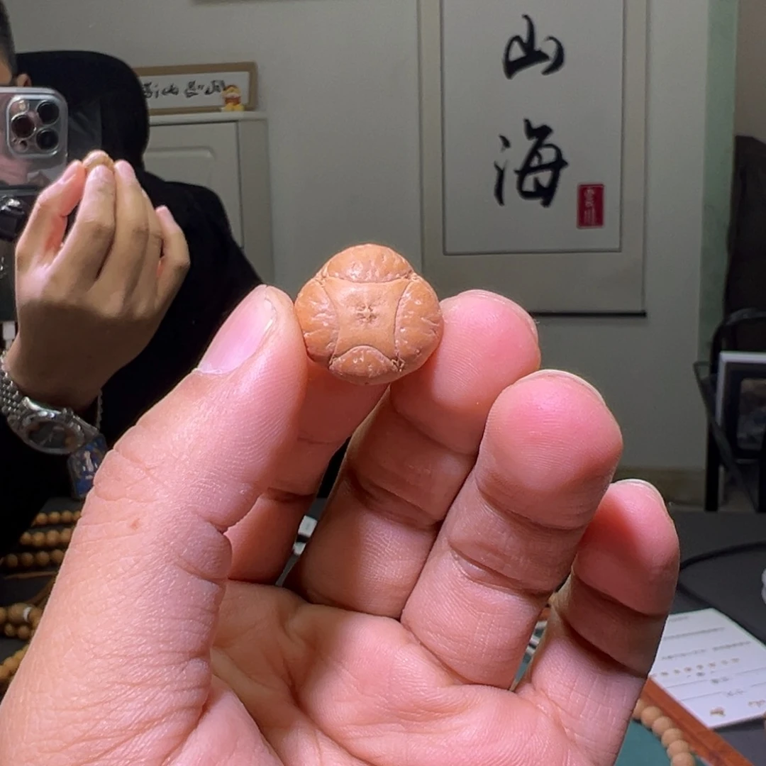 凤眼菩提手串H****n麒麟