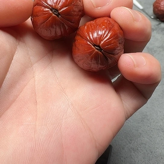 吊坠文玩核桃云枣