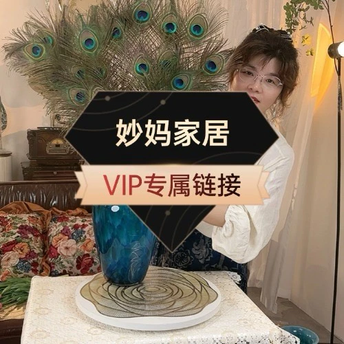 VIP摆件，VIP链接轻奢高端摆件