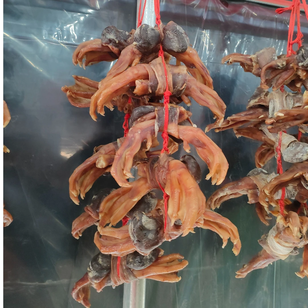 农家散养大白鹅鹅胗鹅掌