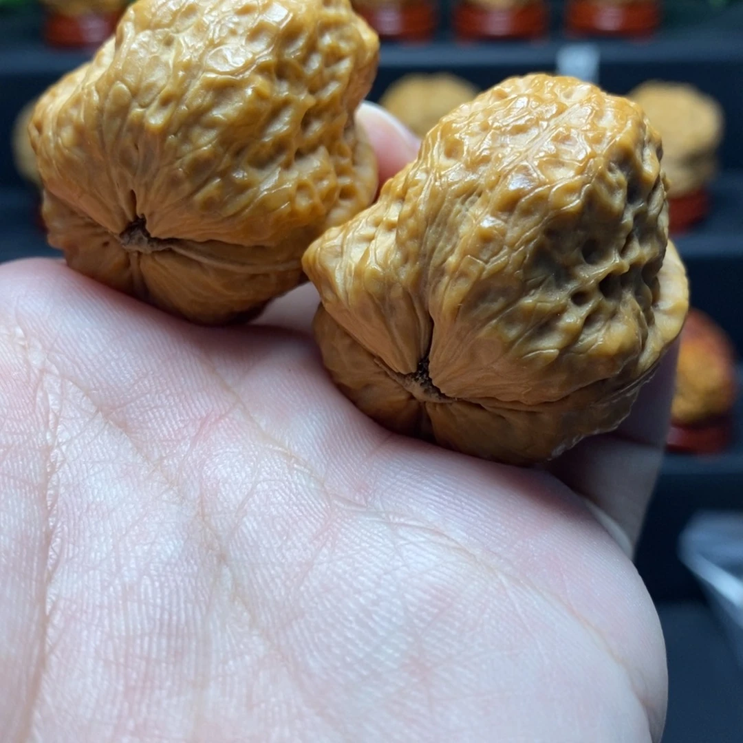 把件文玩核桃帝王龙脊蛤蟆头