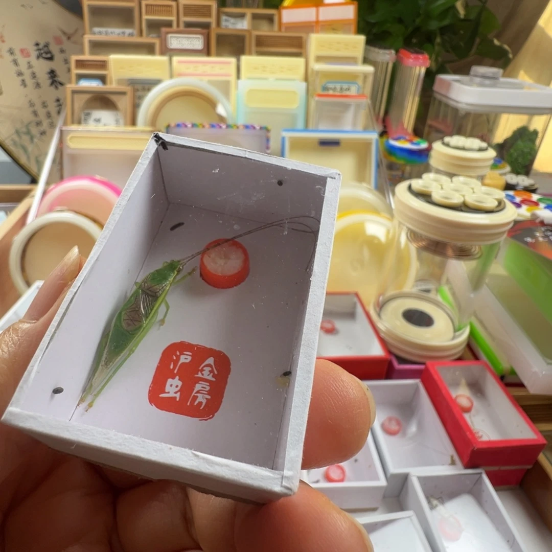 蟋蟀一只长须橙杆