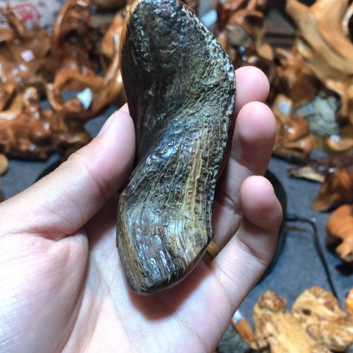 大***哥柏木（崖柏）崖柏手把42