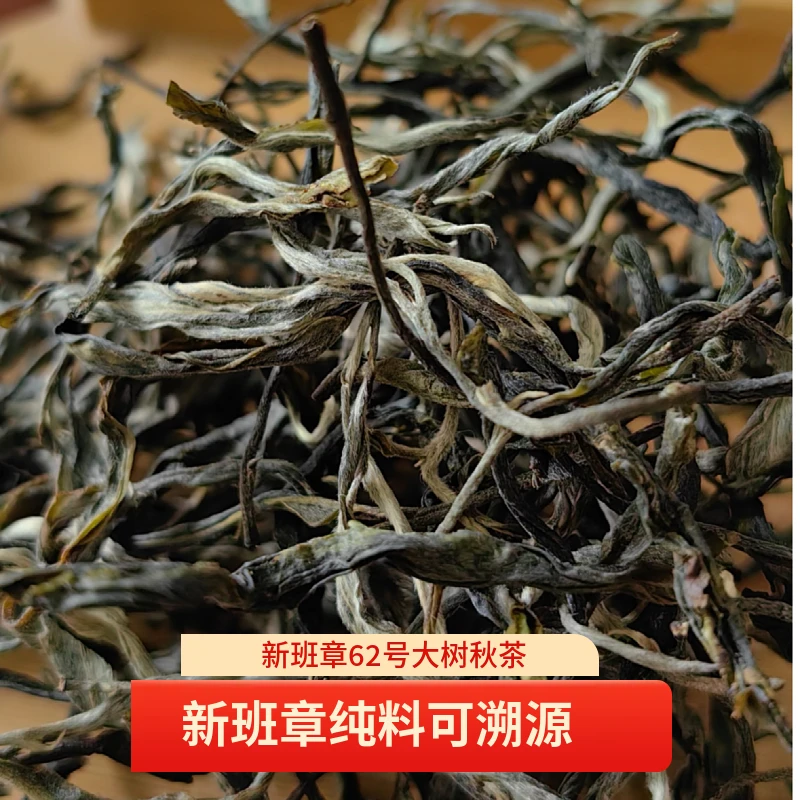 新班章/纯料/生茶/2025年/散茶/100g/大树秋茶