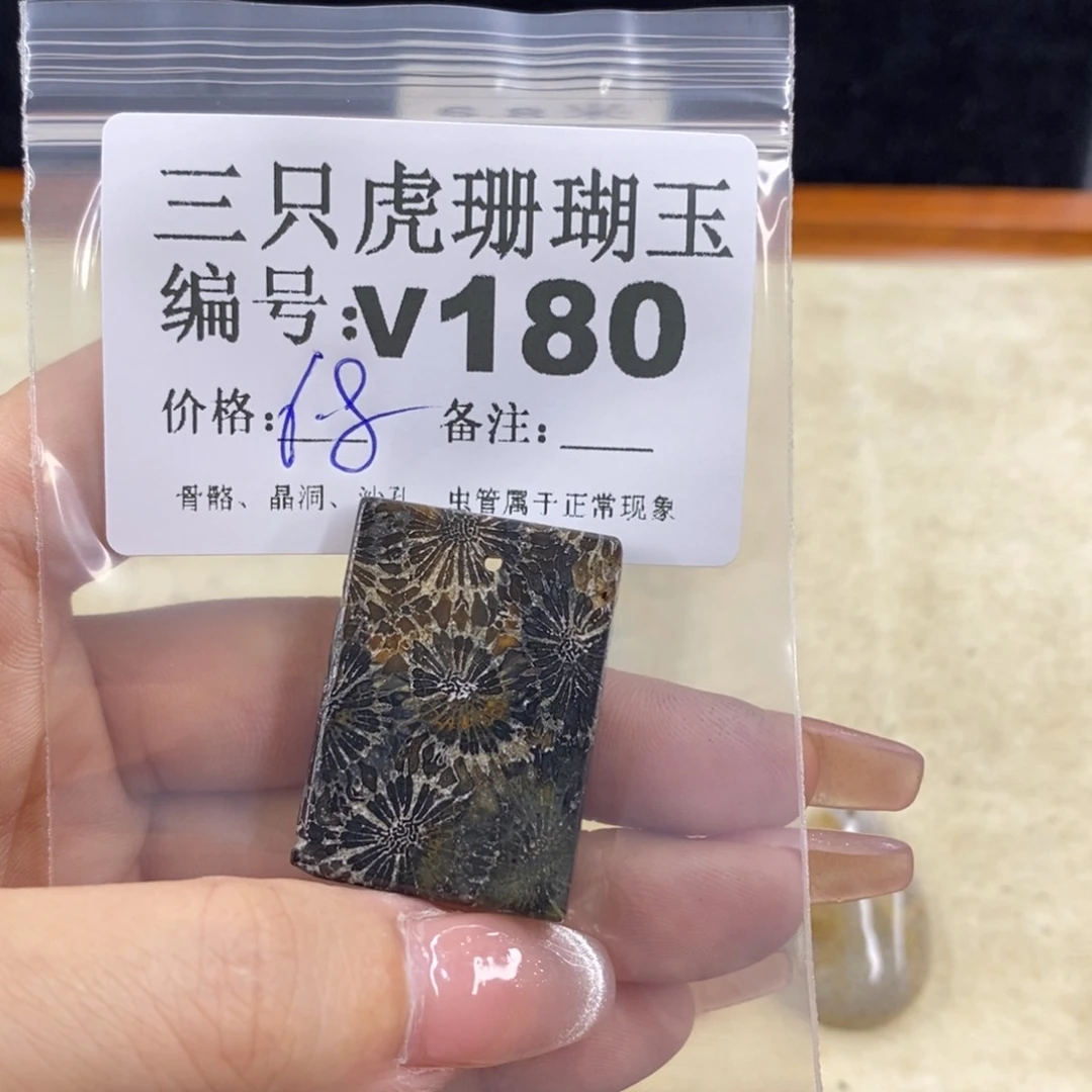硅化珊瑚（珊瑚玉）未镶嵌11*灯