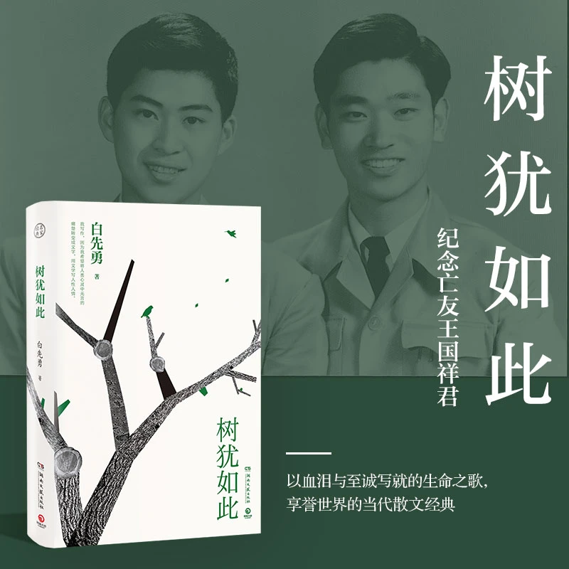 官方正版树犹如此 2022新版白先勇先生亲自审定的散文选集书籍