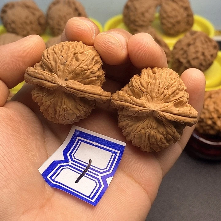 把件文玩核桃38白狮子