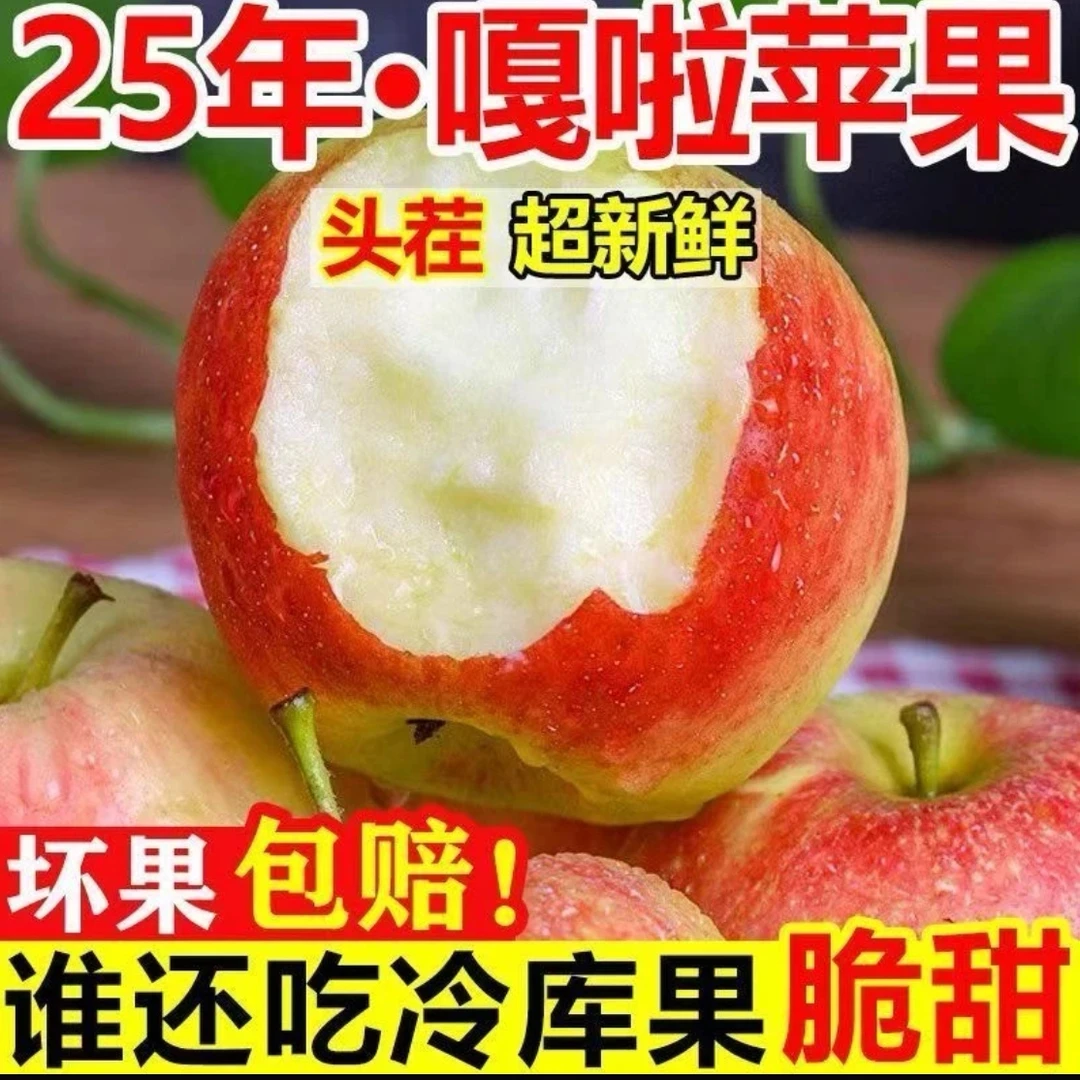 现摘嘎啦苹果粉面沙甜脆粉两吃新鲜应季水果