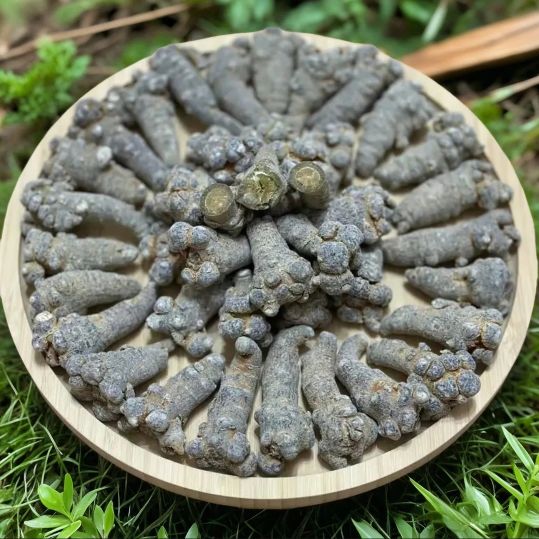 云南文山三七正宗春三七主根滑头无剪口30头/20头 /60头可代磨粉