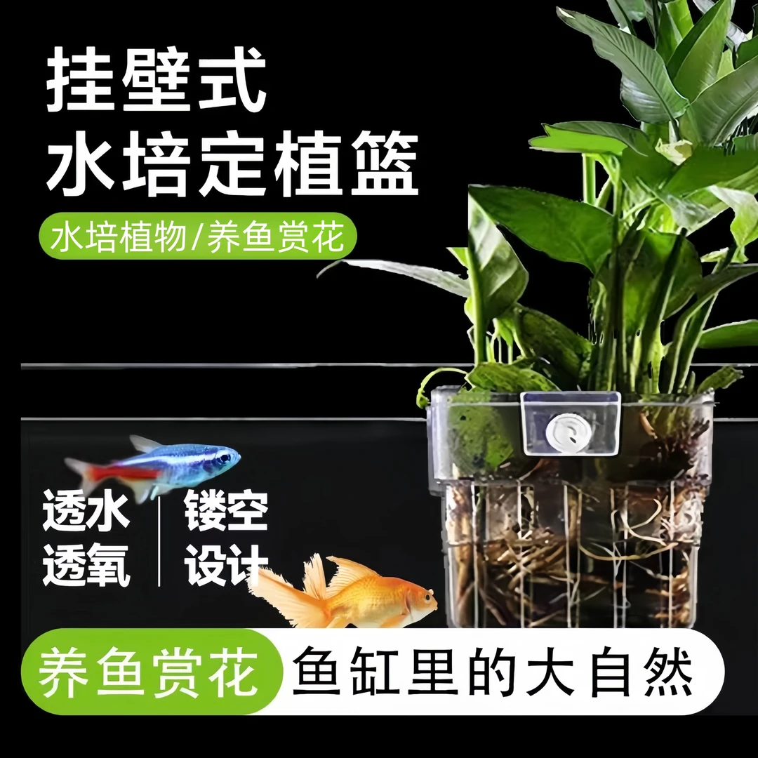 鱼缸造景摆件水培定植篮透明装饰水草水植物挂式绿植盆栽海葵迷