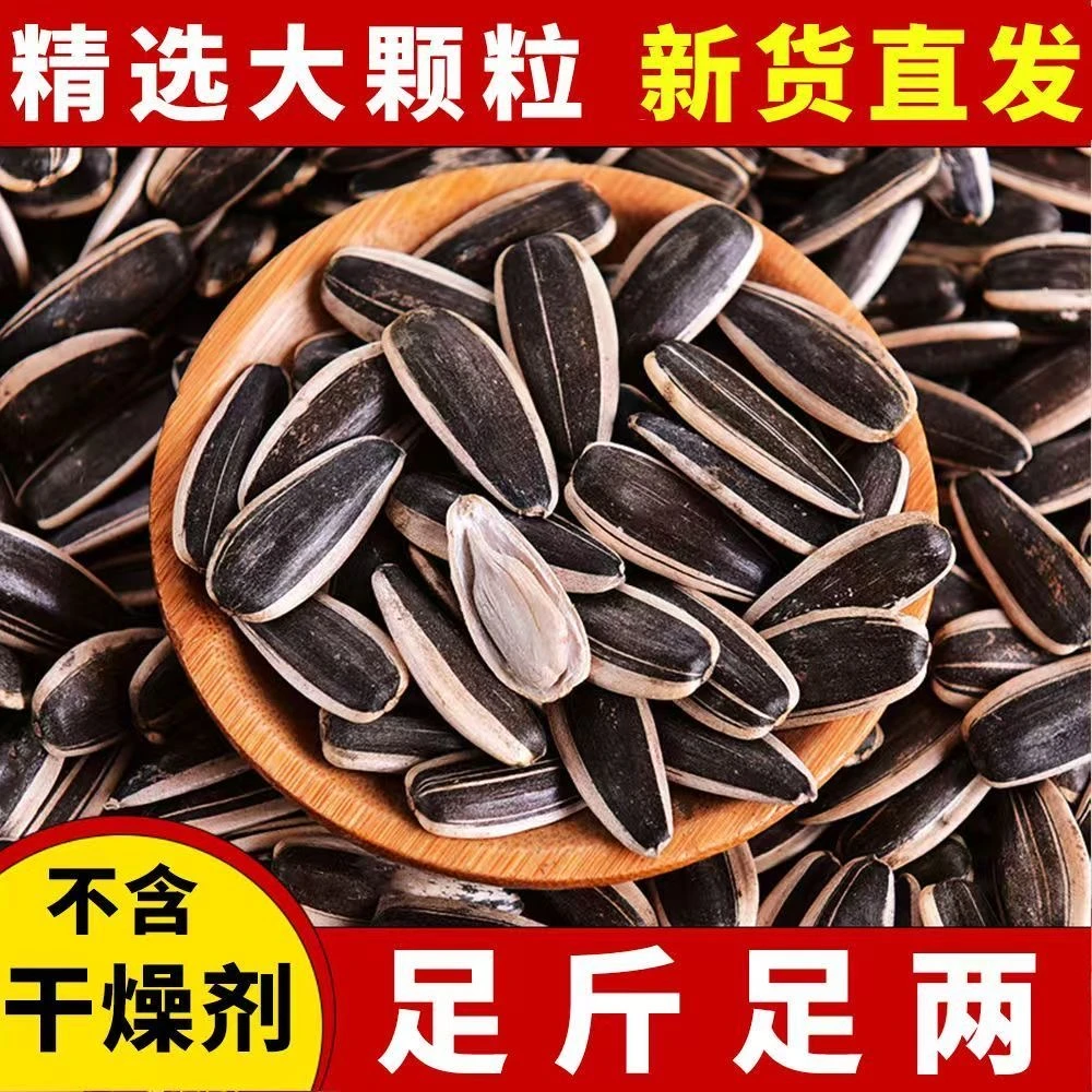 新货生葵花子原味瓜子新鲜葵瓜子新鲜葵花籽休闲零食批发两斤包邮