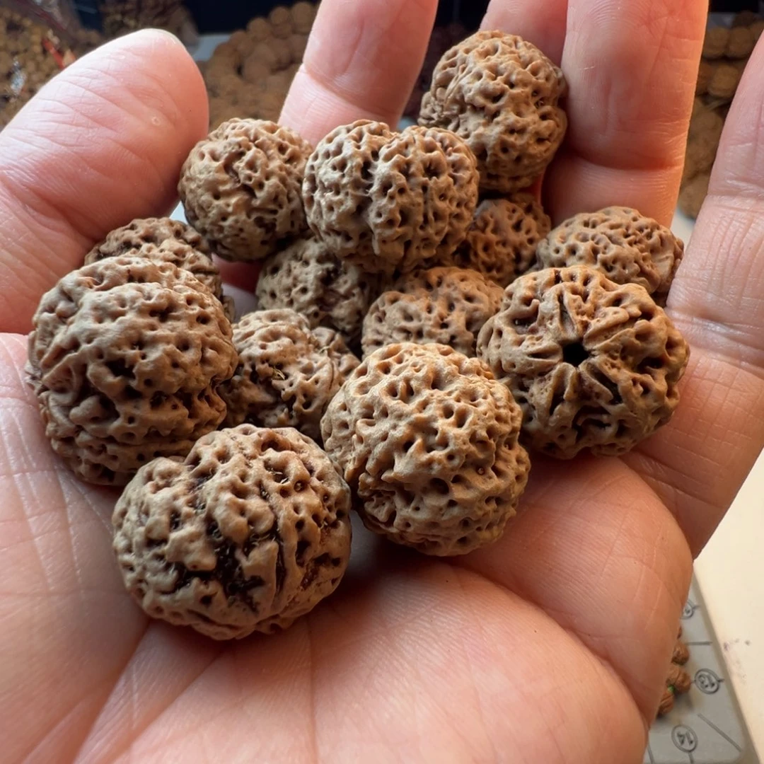金刚菩提吊坠5瓣22飓肉蜂王