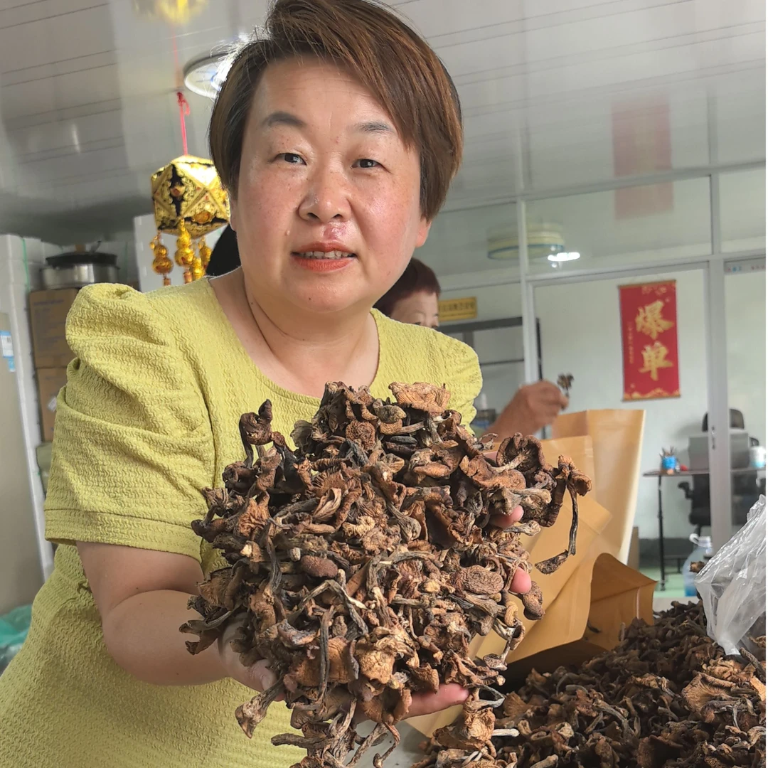 黑龙江榛蘑自然晾晒适合小鸡炖蘑菇