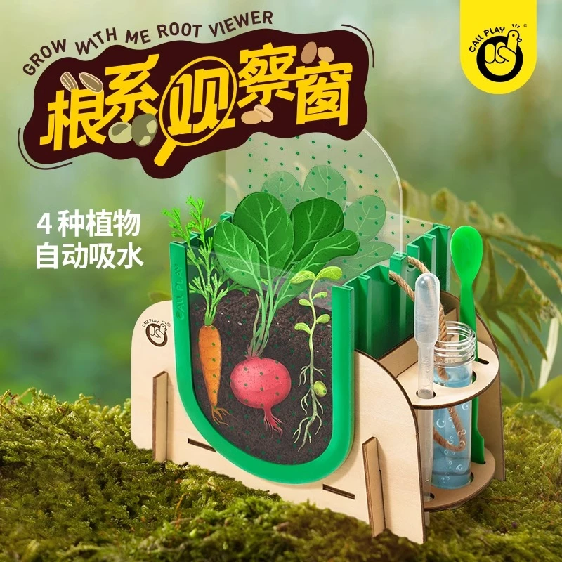 儿童植物种植根系生长观察窗科学小实验小盆栽阳光小农场种菜记录